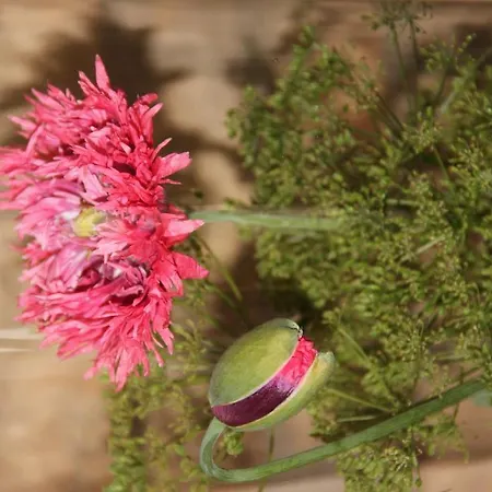 Hof Noerreheede Nordhackstedt