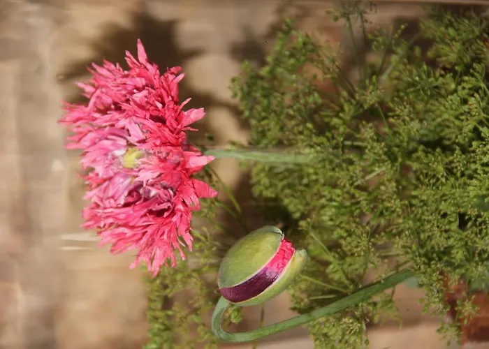 Hof Noerreheede Nordhackstedt